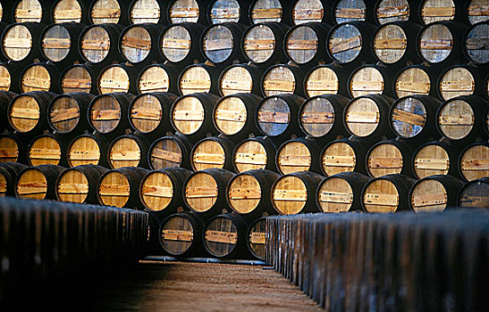 桶,葡萄酒,葡萄牙,酒窖