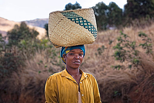 女人,篮子,头部,头像,马达加斯加,非洲
