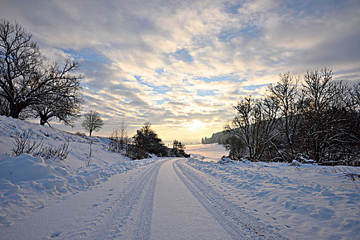 风景,雪路,冬天,早晨,普拉蒂纳特,巴伐利亚,德国