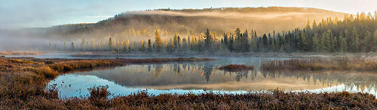 早晨,亮光,云,树,围绕,科斯河地区,阿尔冈金公园,安大略省,加拿大