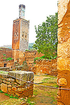 摩洛哥,非洲,老,罗马,破旧,纪念建筑,场所