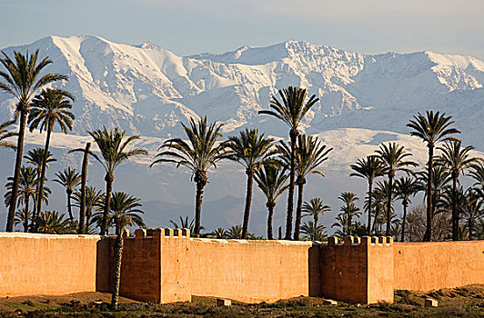 壁,马拉喀什,正面,雪冠,阿特拉斯山区,摩洛哥,非洲