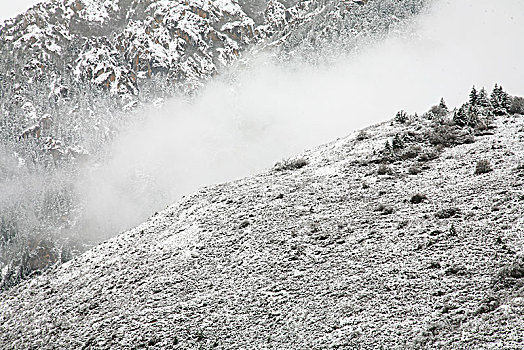 四川,黄龙,雪山,寒冷,村庄,户外