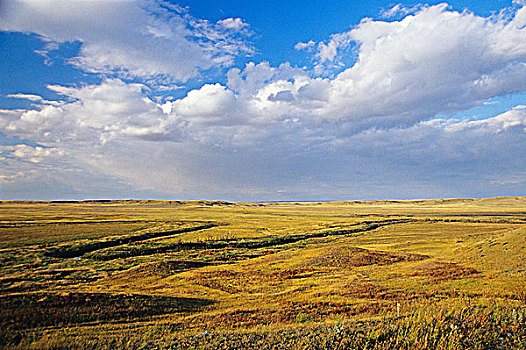 草原,草原国家公园,萨斯喀彻温,加拿大