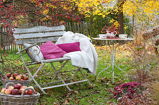 长椅,枕头,毯子,苹果树