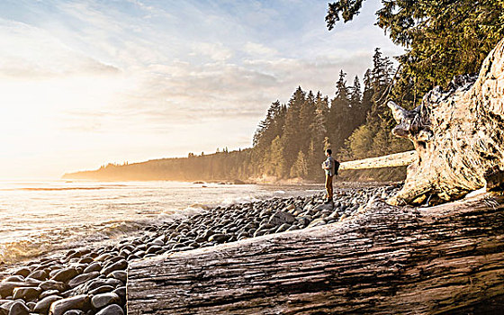 男人,向外看,海滩,胡安德富卡省立公园,温哥华岛,不列颠哥伦比亚省,加拿大