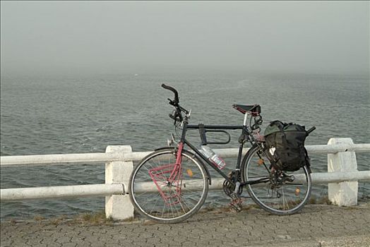 自行车,海边,岛屿,丹麦