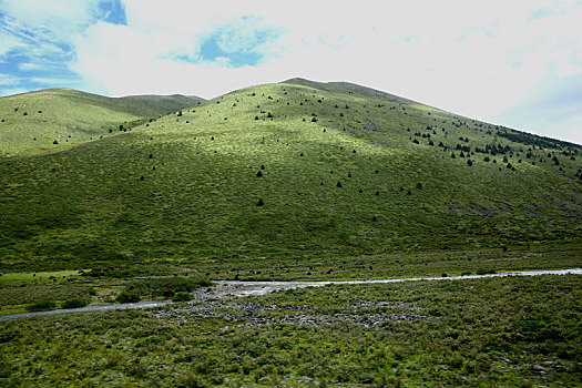 绿水青山