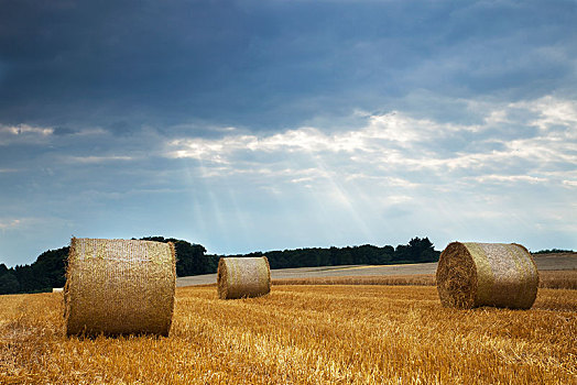 稻草,丰收,圆,大捆,莱茵兰普法尔茨州,德国,欧洲