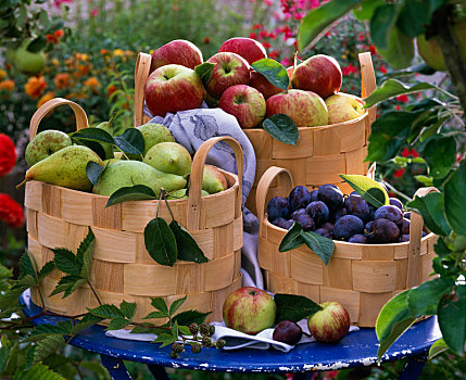 樱桃属,苹果树,篮子,桌子