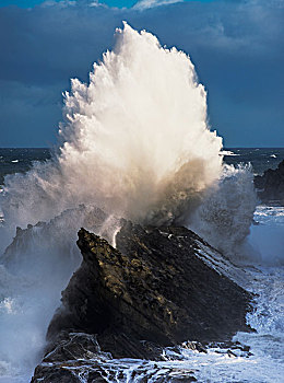 海浪,岩石上,岸边,英亩,州立公园,查尔斯顿,俄勒冈,美国