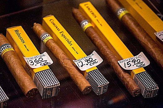 雪茄,零售,销售,一个,古巴,店,地面,哈瓦那,加勒比,中美洲