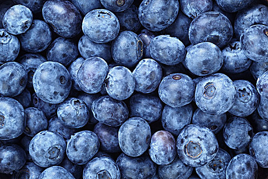 新鲜,成熟,蓝莓,浆果,有机食品,背景
