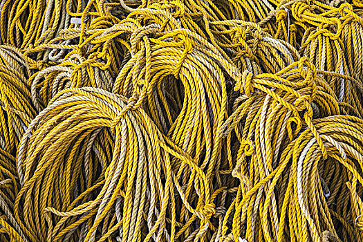排,盘绕,黄色,绳索,渔业,美国