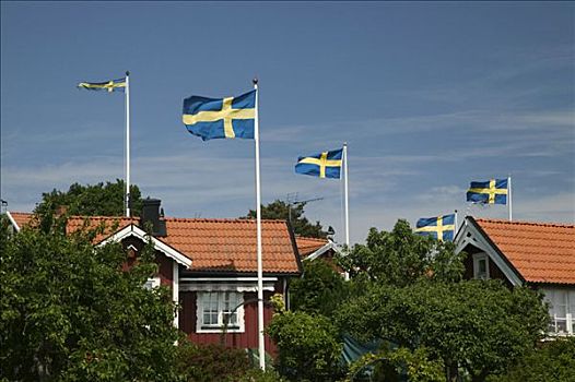 瑞典,旗帜,户外,红色,屋舍