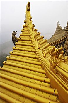 屋顶,庙宇,雕塑,峨嵋,靠近,成都,中国,亚洲