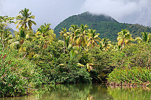 印度河,多米尼克,东加勒比,西印度群岛