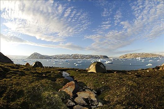 帐蓬,露营,峡湾,东方,格陵兰