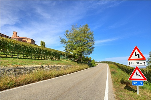 沥青,道路,绿色,葡萄园,蓝天,白云,意大利北部