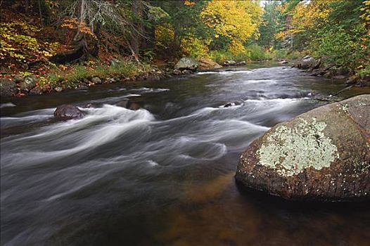 溪流,阿尔冈金省立公园,安大略省,加拿大