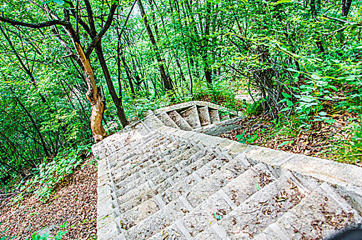 大山中的石砌台阶