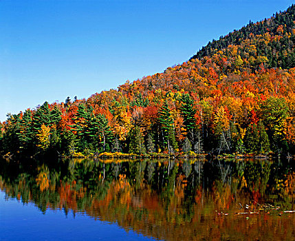 秋色,反射,湖