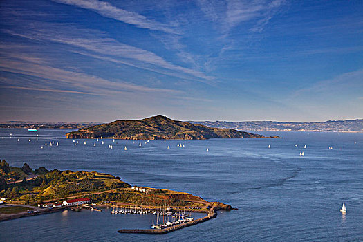 帆船,旧金山湾,天使,岛屿,旧金山,加利福尼亚,美国