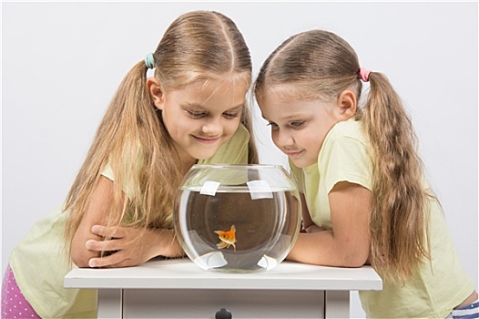 两个女孩,俯视,金鱼,水族箱