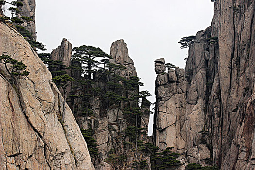 黄山,奇石,云海,壮观,名胜,风景,0227