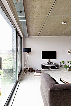 现代,客厅,玻璃墙,展示,水泥,天花板,落地灯,黑色,灯罩,纯平显示器,电视,墙壁