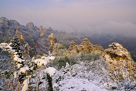 金染群峰