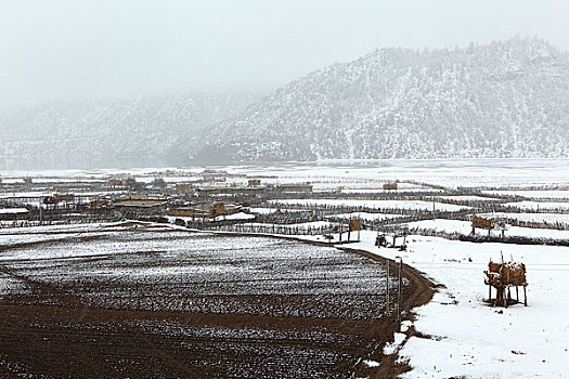 西藏八宿县然乌镇