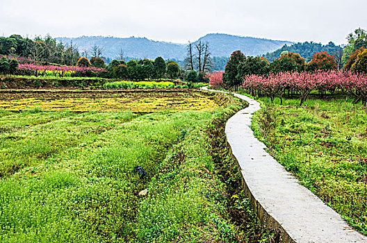 田园小路