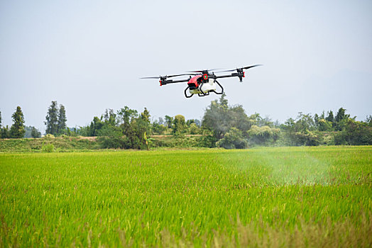 农业无人机水稻喷洒作业
