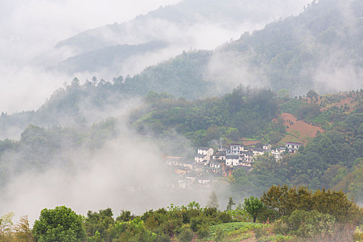 云雾坡山