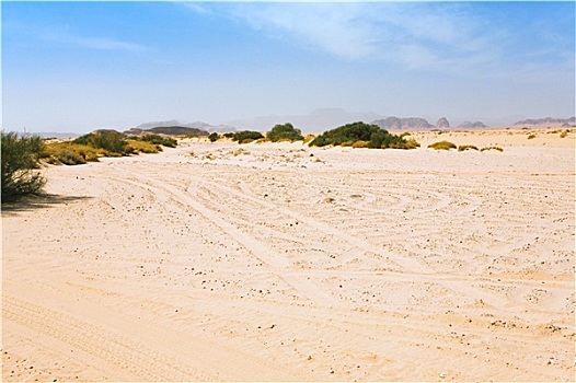 沙子,雾气,瓦地伦,沙漠