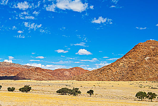 风景,纳米布沙漠,纳米比亚,非洲