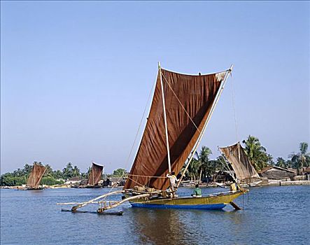 传统,舷外支架,渔船,斯里兰卡