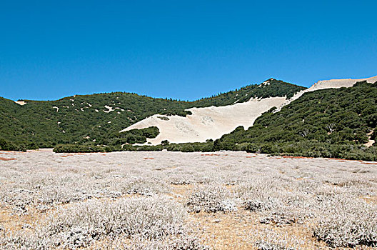 山峦,加利福尼亚,美国