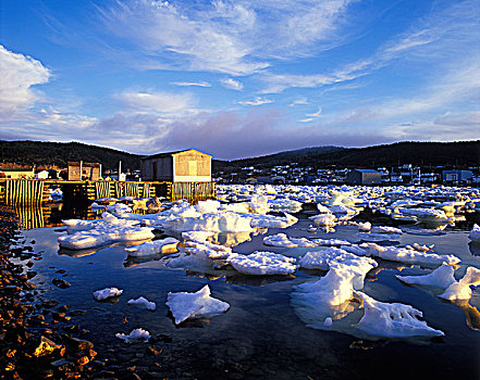 冰,码头,纽芬兰,加拿大
