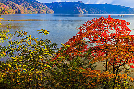 秋染白山湖