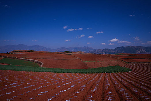 东川红土地