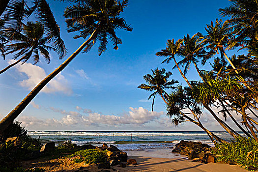 海滩风景,斯里兰卡