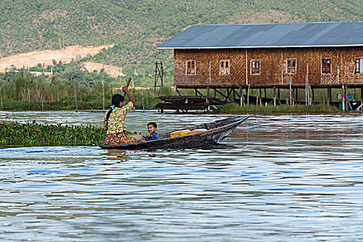 缅甸,茵莱湖,母亲,划船,独木舟,儿子,乘坐