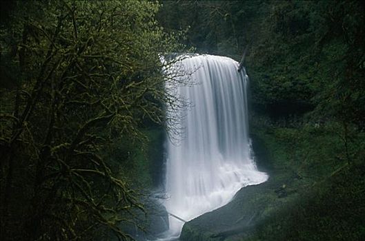 俯拍,瀑布,银色瀑布州立公园,俄勒冈,美国