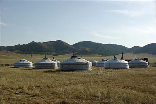 蒙古包,露营,蒙古