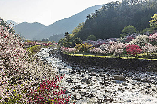 月亮,河,温泉,长野,日本