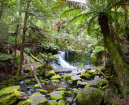 水,落下,上方,长椅,马蹄铁瀑布,地点,国家公园,塔斯马尼亚,澳大利亚
