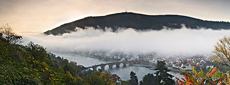海德堡,内卡河,河,桥,老,城镇,模糊,秋天,早晨,巴登符腾堡,德国,欧洲