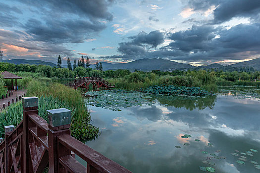 中国云南红河州开远凤凰湿地生态公园风景